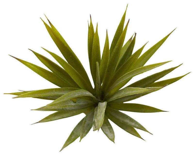 Nearly Natural Mini Spiky Agave Succulent Plant (Set of 12) - Image 2