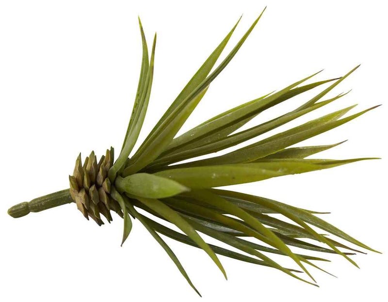 Nearly Natural Mini Spiky Agave Succulent Plant (Set of 12) - Image 3