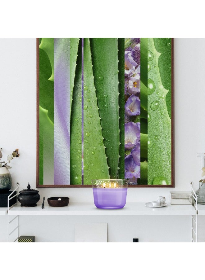Glade - 3 Wick Candle Long-Lasting Essential Oil Infused Tranquil Lavender And  Aloe Scent 96g - Image 1