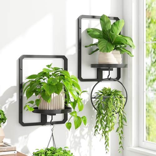 iDavosic.ly iDavosicly Wall Plant Picture Frame Holder Set of 2 for Indoor Metal Stand with Hanging Hooks Floating Flower Display Decor Space Saving Easy to Assemble PotsChainsPlants Not Included - Image 1