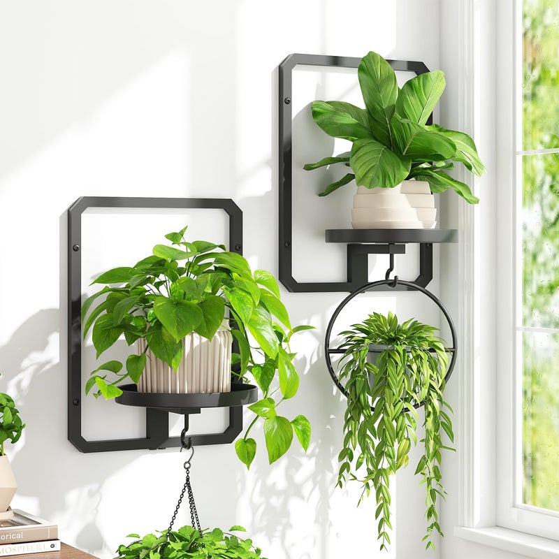 iDavosic.ly iDavosicly Wall Plant Picture Frame Holder Set of 2 for Indoor Metal Stand with Hanging Hooks Floating Flower Display Decor Space Saving Easy to Assemble PotsChainsPlants Not Included - Image 2