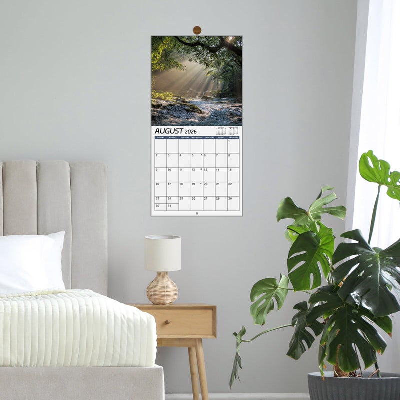 Coboll 2026 Calendar -12 Monthly Square Wall Calendar 2026, January - December, 11.6'' x 11.6'' - Image 2