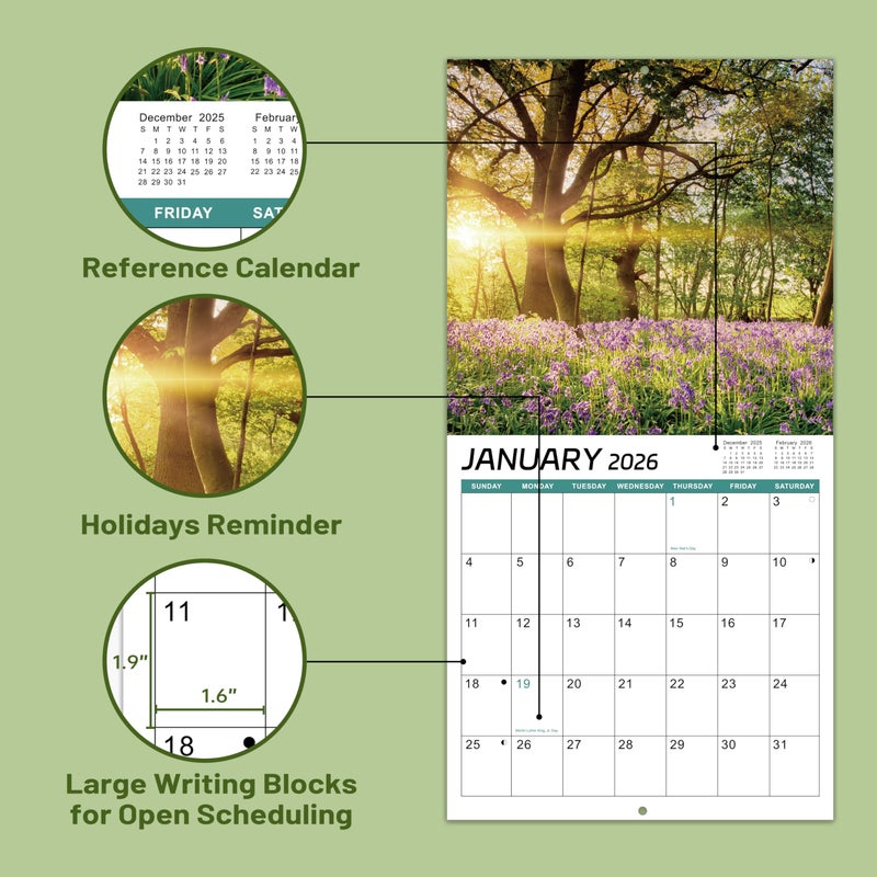 Coboll 2026 Calendar -12 Monthly Square Wall Calendar 2026, January - December, 11.6'' x 11.6'' - Image 4