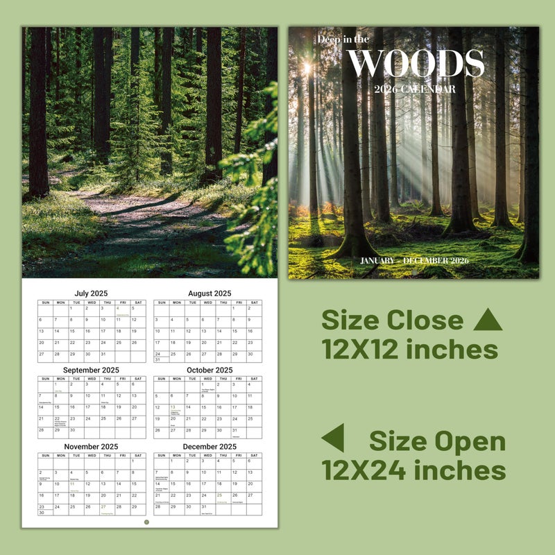 Coboll 2026 Calendar -12 Monthly Square Wall Calendar 2026, January - December, 11.6'' x 11.6'' - Image 5