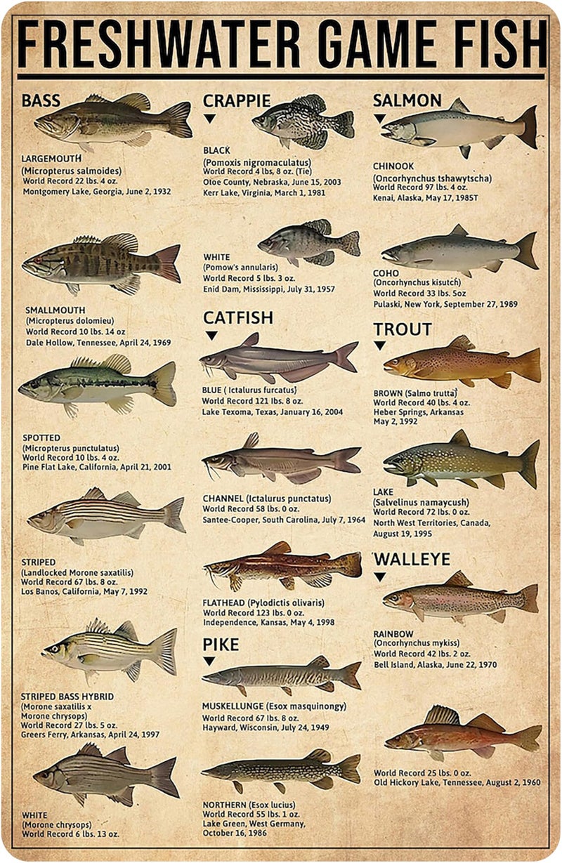 Smilelife Boy's Fishing Gifts Vintage Fresh Water Gamefish Knowledge Tin Sign for Man Cave Boys Hunting Room Bedroom Lake House Cabin Wall Art Decor 8x12 Inch (3069) - Image 1