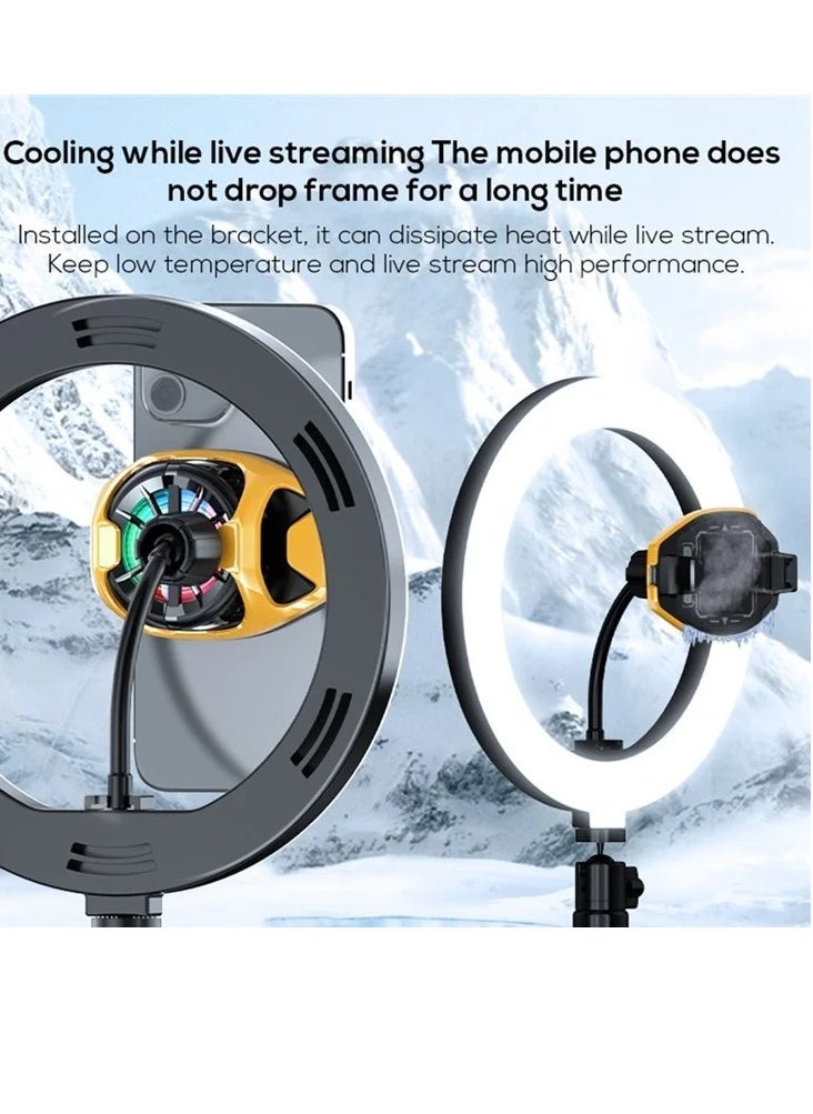 ELTRAZONE DL22 Mobile Phone Cooling Radiator – Advanced Semiconductor Back Clip Fan for iOS & Android, Silent Game Cooler with USB Power, Ideal for PUBG, Free Fire, Call of Duty – Adjustable Phone Heat Sink for Smooth Gaming Performance - Image 2