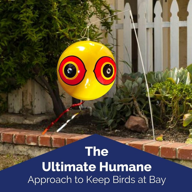 Bird-X Scare-Eye® Bird Repellent Predator Eyes Balloons - Pack of 3 (Yellow, White, Black) - Image 5
