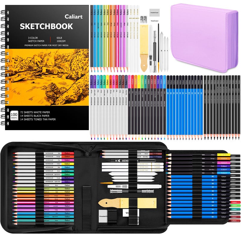 Caliart 176PCS Art Supplies Sketching Kit with 100 Sheets 3Color Sketch Book Graphite Colored Charcoal Watercolor Metallic Pencils Drawing Supplies Set for Artists Adults Beginners - Image 2