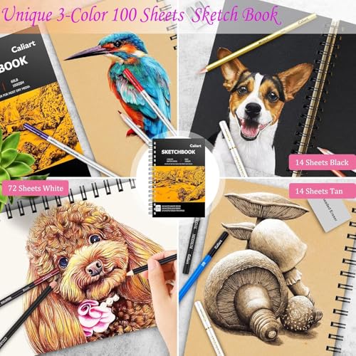 Caliart 176PCS Art Supplies Sketching Kit with 100 Sheets 3Color Sketch Book Graphite Colored Charcoal Watercolor Metallic Pencils Drawing Supplies Set for Artists Adults Beginners - Image 3