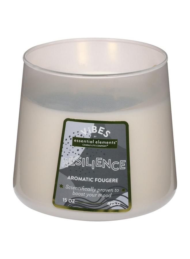 CANDLE-LITE Essential Elements Vibes Resilience Aromatic Fougere Scented Jar Candle 15Oz 46341700 - Image 1