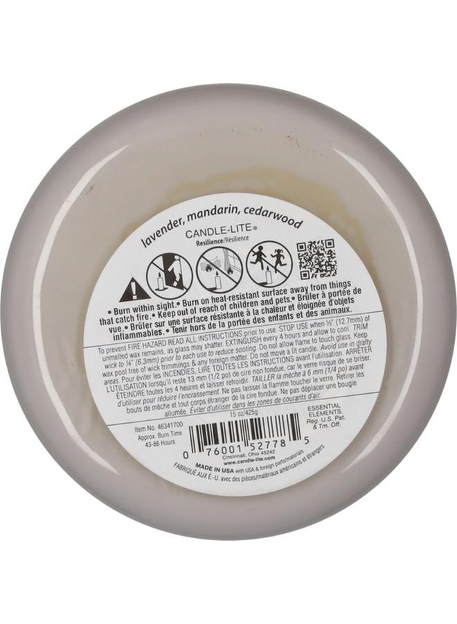 CANDLE-LITE Essential Elements Vibes Resilience Aromatic Fougere Scented Jar Candle 15Oz 46341700 - Image 2