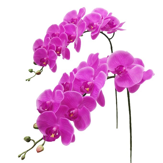 ARTIFICIAL ORCHID STEMS REAL TOUCH LATEX PHALAENOPSIS BRANCHES FAUX CYMBIDIUM FLOWERS 9 LARGE PETALS 38 INCHES 2PCS ROSE RED