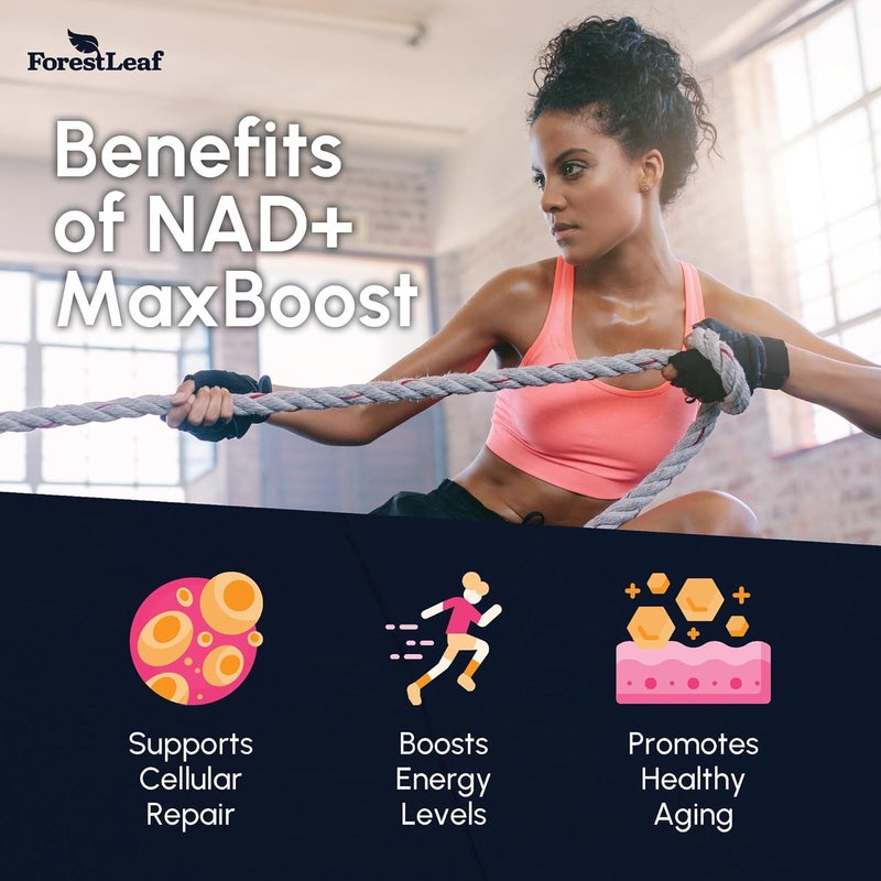 ForestLeaf مكمل NAD 1200 ملغ ليموزوم NAD ومكملات ريسفيراترول للنساء والرجال دعم امتصاص عالي للطاقة والتركيز من أجل شيخوخة صحية 60 كبسولة - Image 3