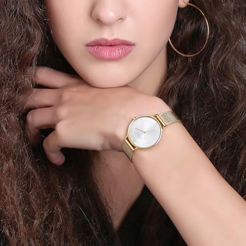 Skagen Women's Anita Lille Three-Hand Gold Stainless Steel Mesh Band Watch (Model: SKW2150) - Image 5