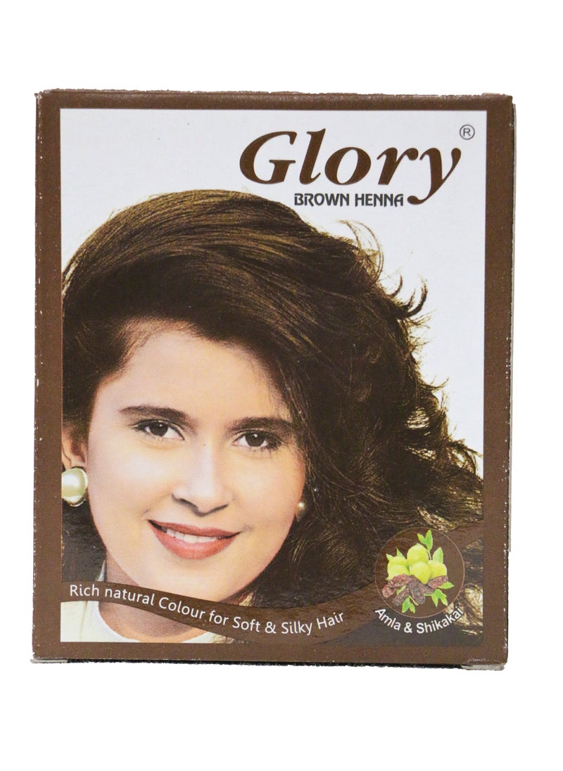 Glory Glory Henna Hair Color Box*6 Piece Brown 10G  - Image 1