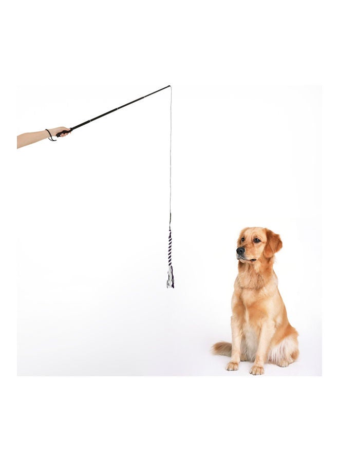 NIBEMINENT Pole Training Exercise Rope - Image 1