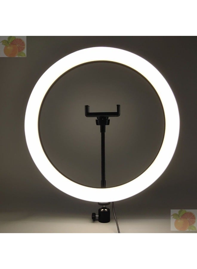 Special Mobile Phone Live Light For Taking Pictures Of Atmosphere Light Anchor Beauty Rejuvenation Light-Specification:6inch Lights (16cm)-single Light;;  - Image 5