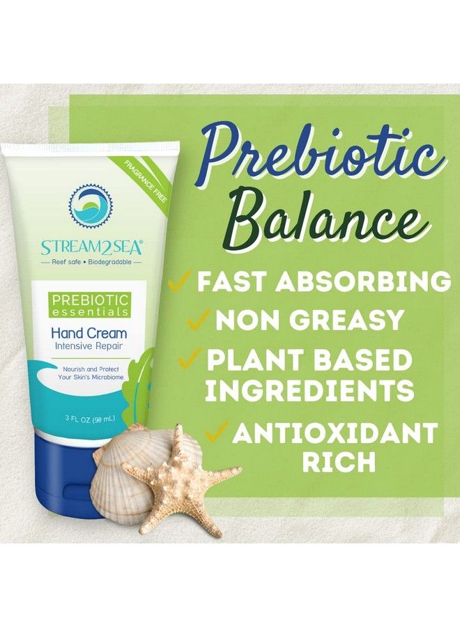 STREAM 2 SEA Unscented Intensive Repair Hand Cream Prebiotic Essentials | Antioxidant Rich Reef Safe Natural And Paraben Free Moisturizing Hand Cream | 3 Fl Oz By Stream2Sea - Image 4