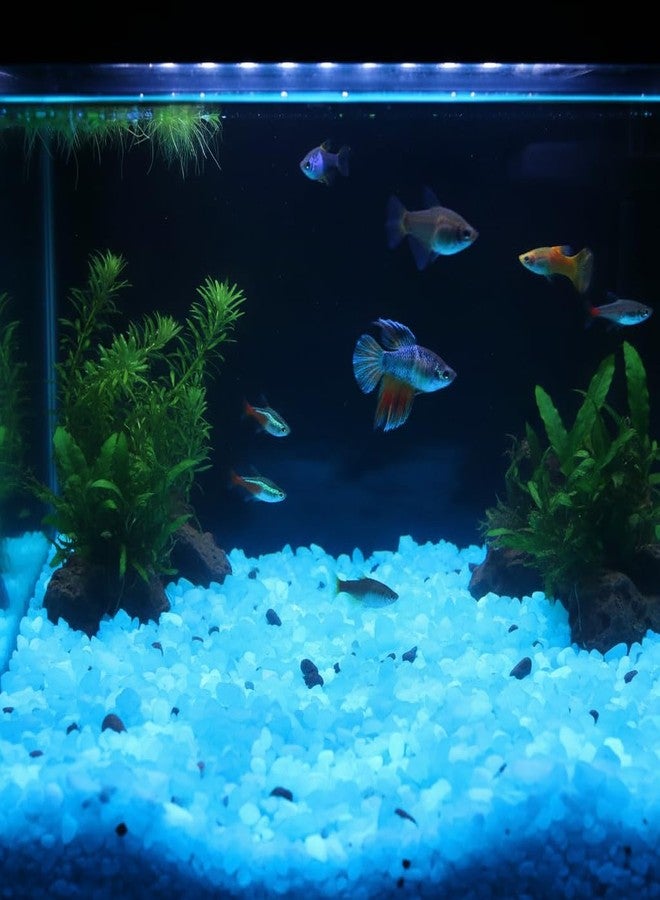 Shiny Stone Glow in The Dark Aquarium Gravel Sand, 5-8mm, Sky Blue - Image 4