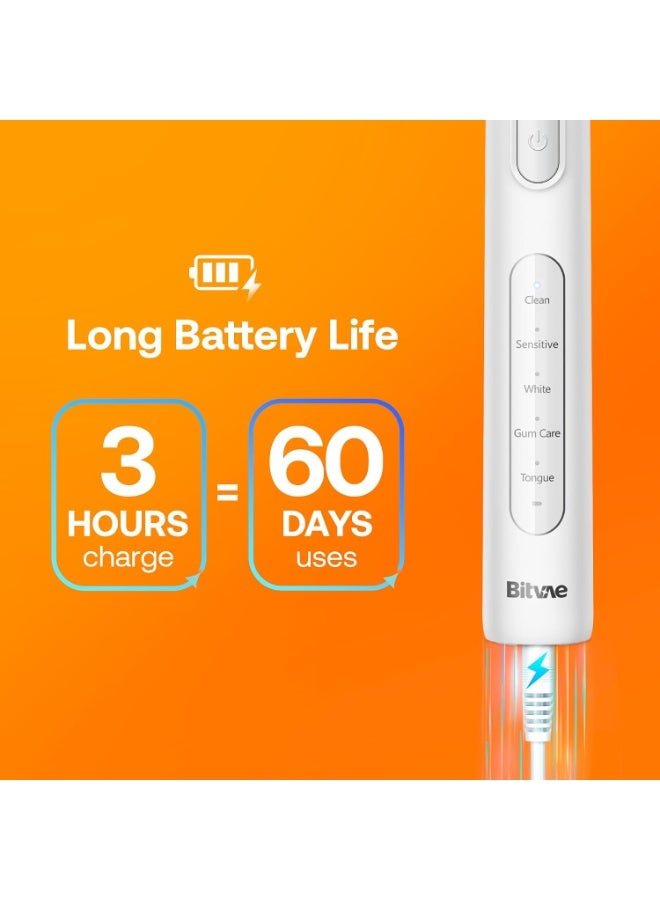 Bitvae R1 Rotary Electric Toothbrush, White, 8 Brush Heads, 5 Modes, 60-Day Battery Life, 2-Minute Timer, IPX7 Waterproof - Image 5