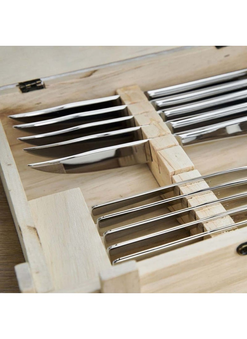 Steak Knife Set 12 Pieces - pzsku/Z280808C36B4F82BA3352Z/45/_/1728061403/f1739abf-2c3f-4ee6-a4d4-20dd91e30f60