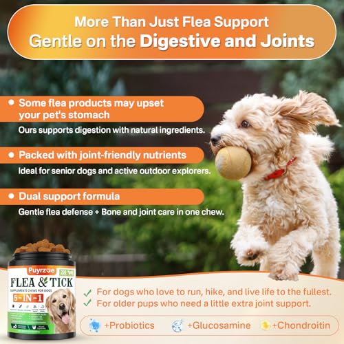 Puyrzoe 5-in-1 Dog Flea and Tick Treatment Chewable, Natural Flea and Tick Prevention for Dogs Chewable - Flea & Tick | Hip & Joint | Skin & Coat | Immunity Support | Digestive for All Breeds & Sizes - Image 5