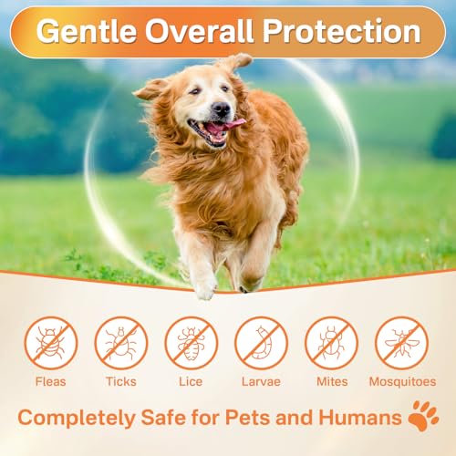 Puyrzoe 5-in-1 Dog Flea and Tick Treatment Chewable, Natural Flea and Tick Prevention for Dogs Chewable - Flea & Tick | Hip & Joint | Skin & Coat | Immunity Support | Digestive for All Breeds & Sizes - Image 3
