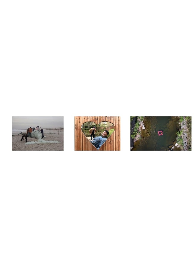 New Ecologies: Art and Climate  - Image 2