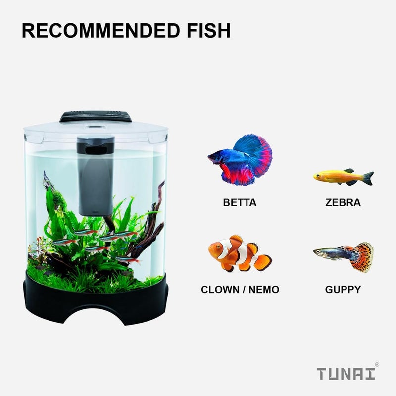 TUNAI + KW BT112 All-in-One DIY Aquarium Fish Tank Comes with Filter and Led Lights, 5.2 Ltrs Capacity Suitable for Small Fish Like Betta, Zebra, Guppy, Tetras & Others - Image 4