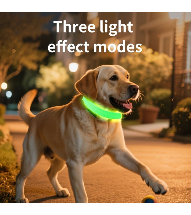 Orange Multi Mode LED Pet Collar Fast Charging Nighttime Protection - Image 1