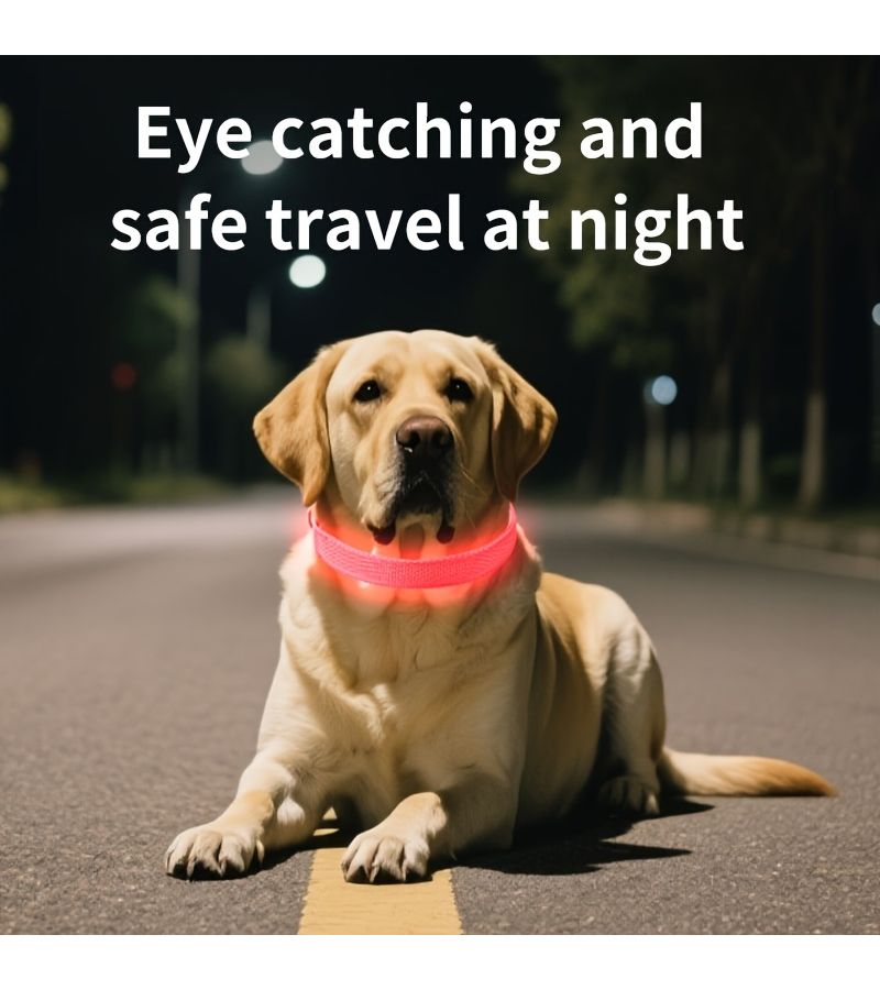 Orange Multi Mode LED Pet Collar Fast Charging Nighttime Protection - Image 4