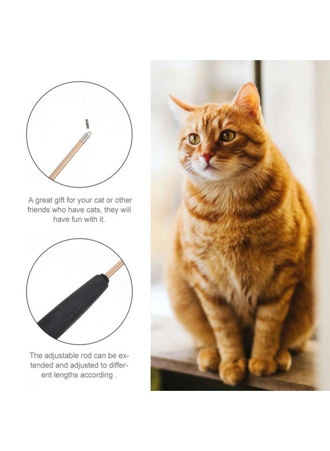 Sunkizzrs® Cat Toys - Interactive Toy Set with Retractable Teaser Wands and Feather Toys - Activity Toys to Exercise Cats and Kittens (1 Retractable Stick + 2 Feather Balls) - Image 3