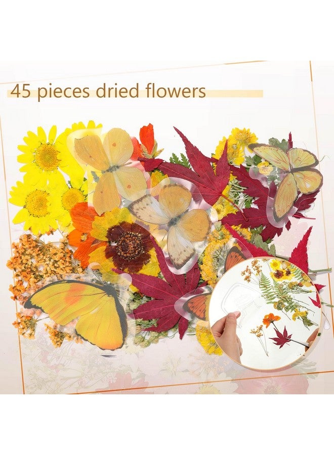 TaoBary 81 Pcs Diy Transparent Dried Flower Bookmark Set Include Clear Bookmarks Dried Flowers Colorful Tassels And Tweezer Handmade Dried Floral Bookmark For Book Bottle Supplies(Stylish) - Image 4