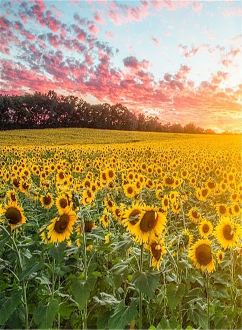 GGOOT Giant Sunflower Seeds/Seeds to Grow Kids Kit/Flower Seeds UK/Cute Pop Flower/Perennial Potted Garden Plants/Heirloom Garden Seeds-500pcs - Image 1