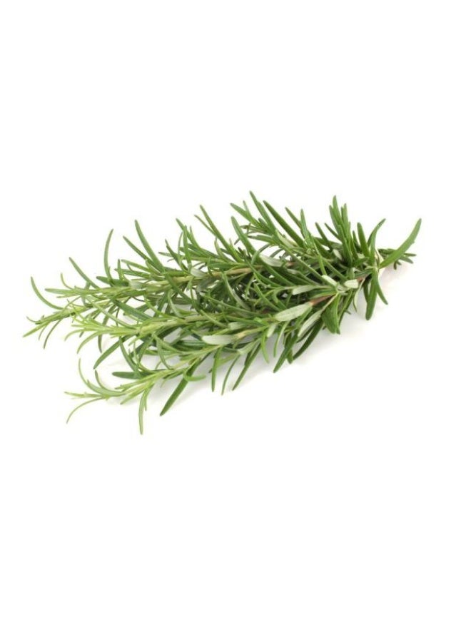Rosemary , 20gm, UAE