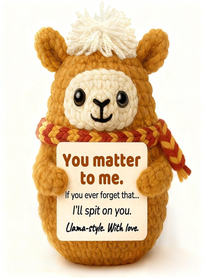 Krinisou Positive Animals Crochet Llama Plush, Funny Friendship Gift for Best Friend, Cute Appreciation Gift for Girlfriend Boyfriend Sister - Image 1
