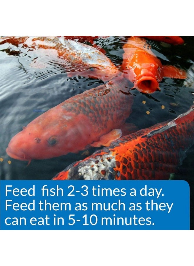 ايه بي آي طعام أسماك البرك API POND COOL WATER FOOD عبوة 11 أونصة  - Image 4