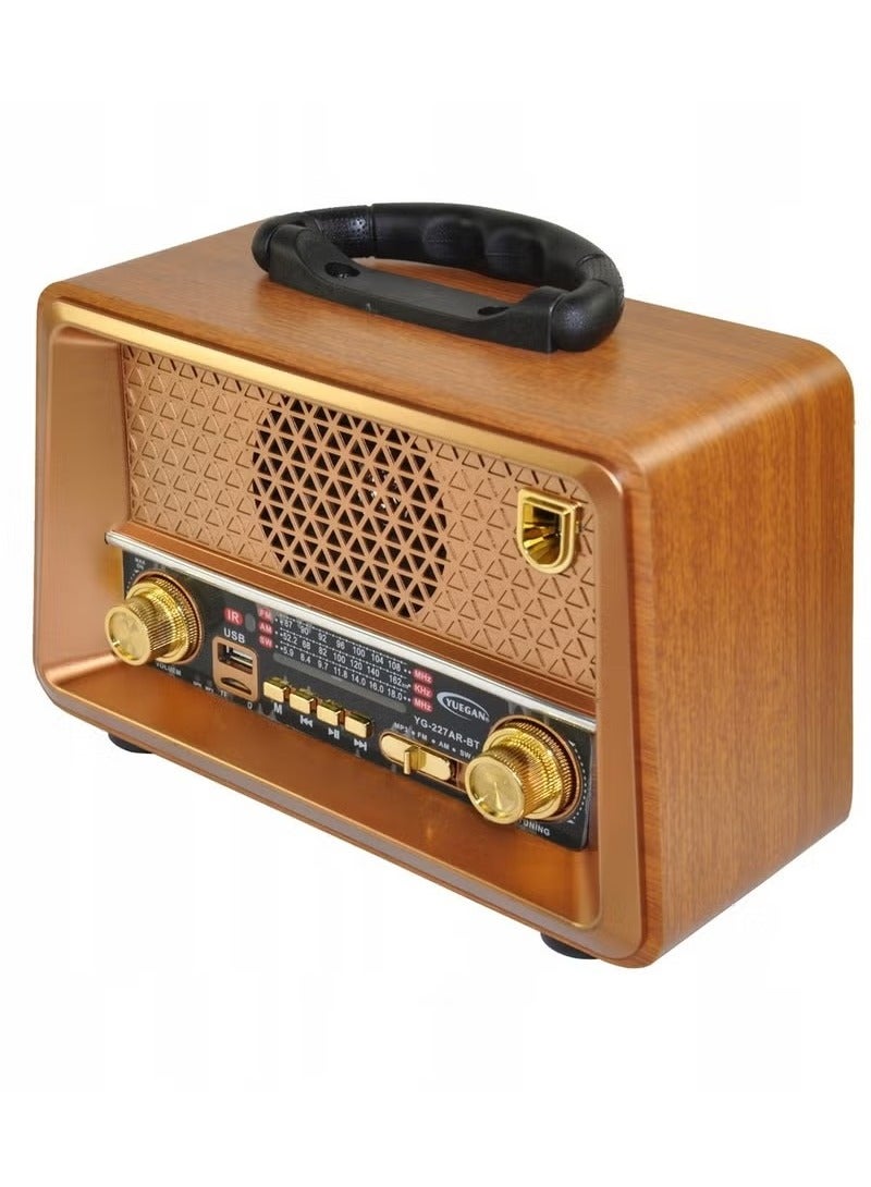 Denx Rechargeable HI-FI Radio with Remote Control, Large Capacity Battery, Portable, Retro Style FM Radio, Support Bluetooth DX2440  - Image 3