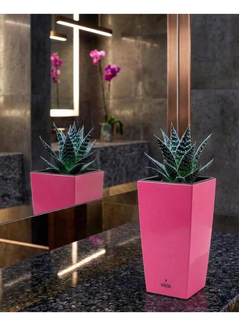 VASSO Vina 10cm Square Self-Watering Planter - Vibrant Pink Decorative Tabletop Pot for Small Indoor Plants, Succulents and Cactus - Smart Water Reservoir System - Ideal for Office and Home Decor - Image 1