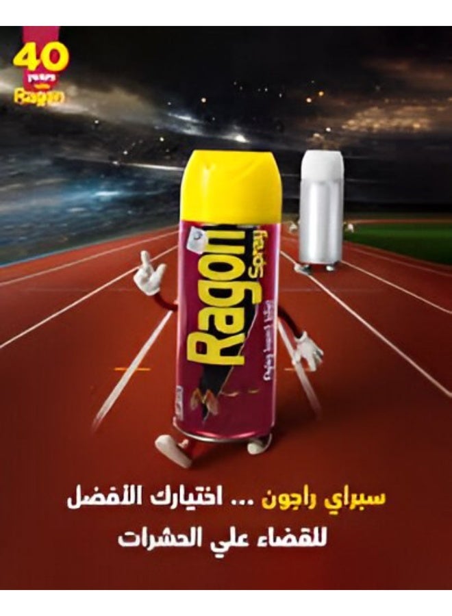 Ragon Spray Flying Insect Killer 300ml - Image 2