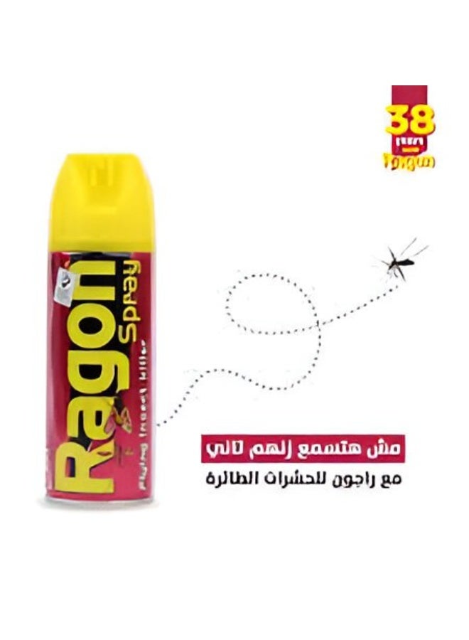 Ragon Spray Flying Insect Killer 300ml - Image 3