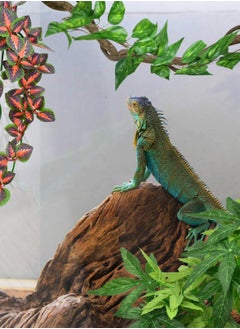 Generic Reptile Plants, Vibrant Hanging Amphibian Plants with Suction Cup for Snake, Bearded Dragons, Toads, Hermit Crab Tanks , Perfect Habitat Decorations for Your Pet Reptiles  - Image 4