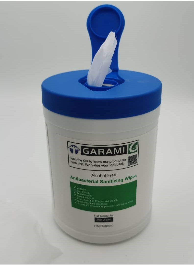 GARAMI Garami Sanitising Wipes (250 wipes) Size of wipes 140x150 big Wipes Home School Fitness Centre Ofiices Nursery Cleaning Toilet Seat Cleaning Saves Toilet Roll by 50%  - Image 1