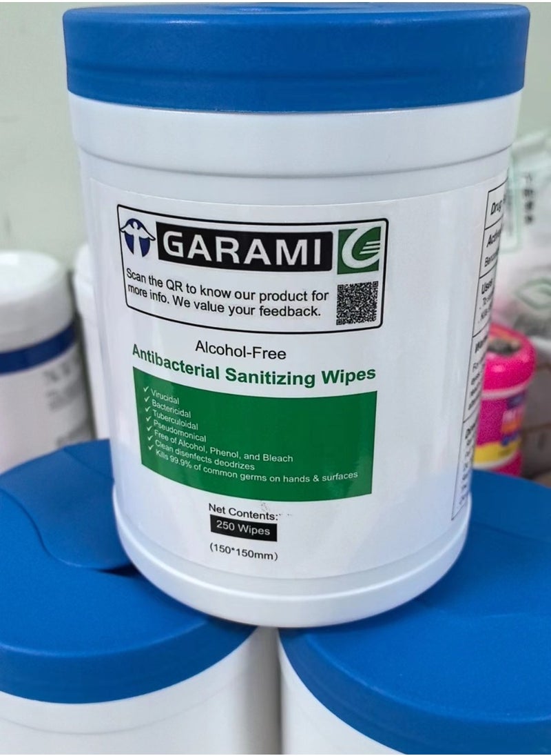 GARAMI Garami Sanitising Wipes (250 wipes) Size of wipes 140x150 big Wipes Home School Fitness Centre Ofiices Nursery Cleaning Toilet Seat Cleaning Saves Toilet Roll by 50%  - Image 2