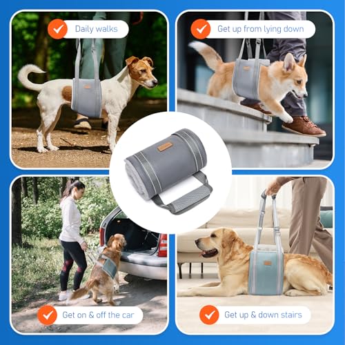Sunsleek Dog Lift Harness for Large Dogs Adjustable Dog Sling for Back Legs Hip Support Harness to Help Lift Dogs Rear for Helps Senior Injured Disabled and After ACL Surgery Dogs Large Grey - Image 3
