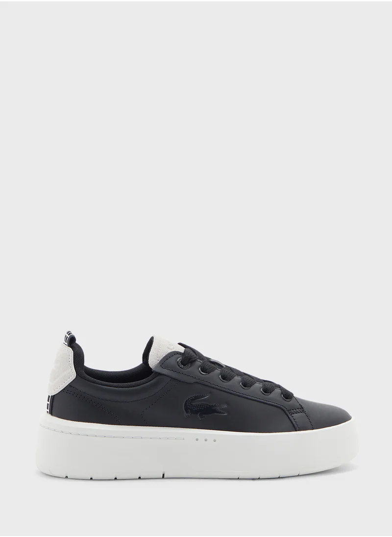 LACOSTE Carnaby Low Top Sneakers