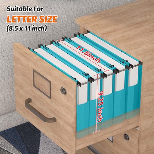 Shutex Extra Capacity Plastic Hanging File Folders,12 Pack Reinforced Expanding Hang Folder Letter Size,Accordian Pocket,Heavy Duty 2 Inch Expansion, Hard Hanging Folder Organizer for Office Home,Blue - Image 3
