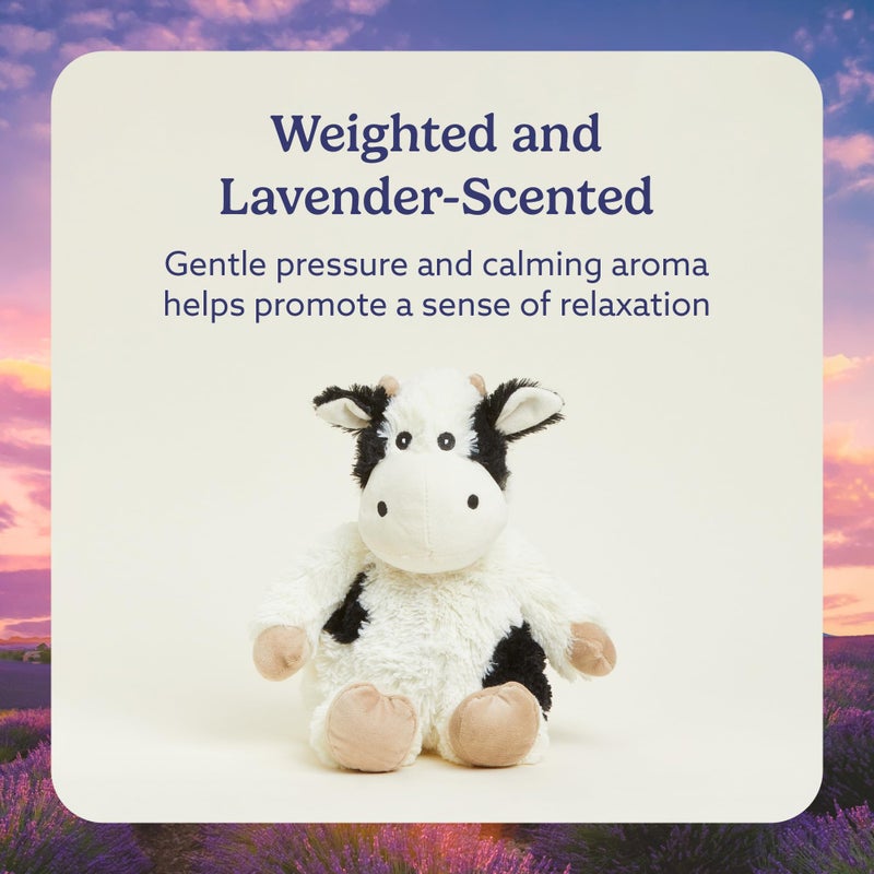 warmies Microwavable & Weighted Stuffed Animals, Black & White Cow - Heated Stuffed Animal Plushie for Warmth & Comfort - Cute Soft Plush Toys for Boys, Girls, Babies & Toddlers - Image 3