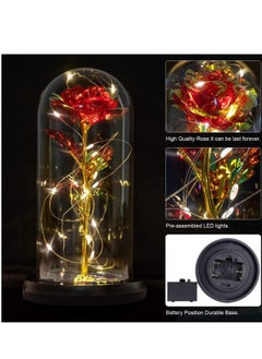 KASTWAVE Dream of Flowers Beauty and The Beast 20 LED Forever Red Rose in Glass Dome on Wood Base Lights  - Image 4