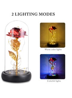 KASTWAVE Dream of Flowers Beauty and The Beast 20 LED Forever Red Rose in Glass Dome on Wood Base Lights  - Image 2